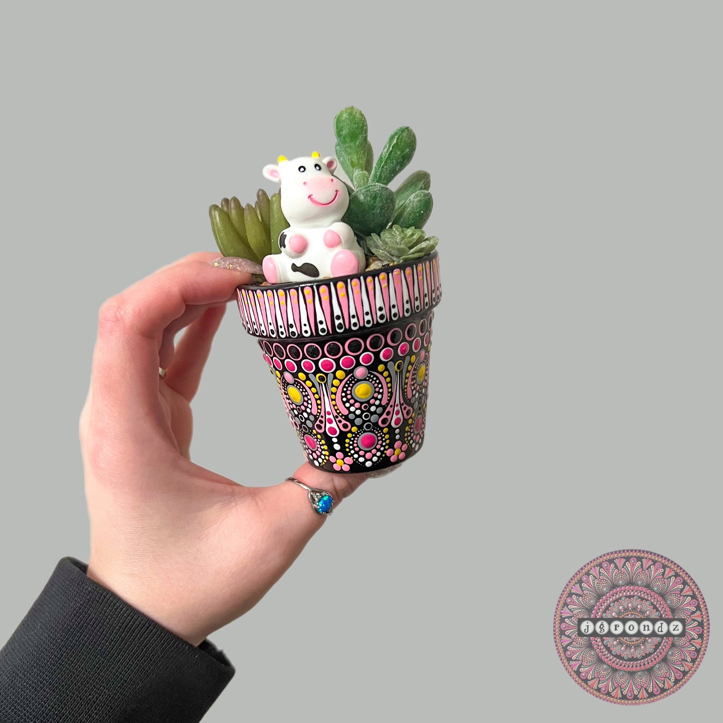 Pretty Pots - Painted Mandala Succulent Pot