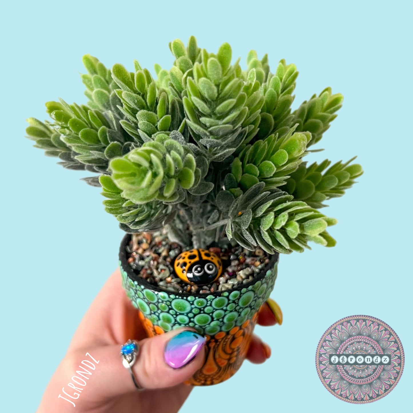 Hoppy Pot - Spring/Easter Painted Succulent Pot
