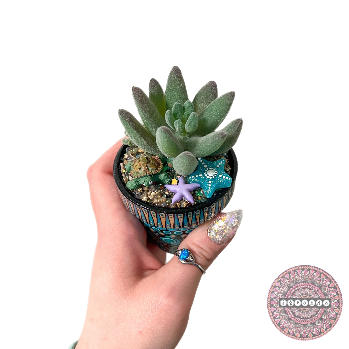 Pretty Pots - Painted Mandala Succulent Pot