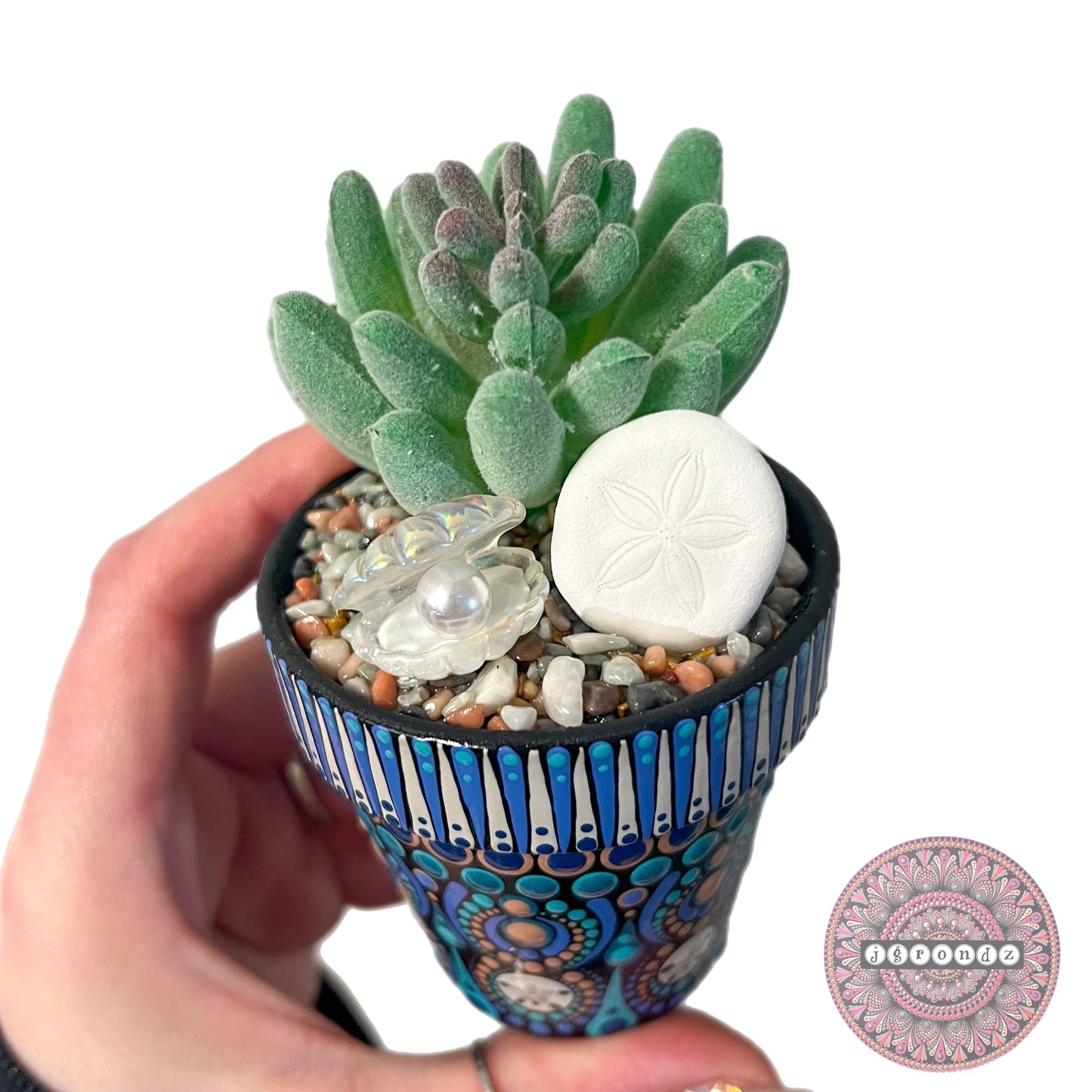 Pretty Pots - Painted Mandala Succulent Pot