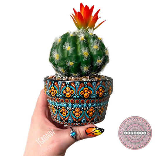 Cactus Pretty Pot