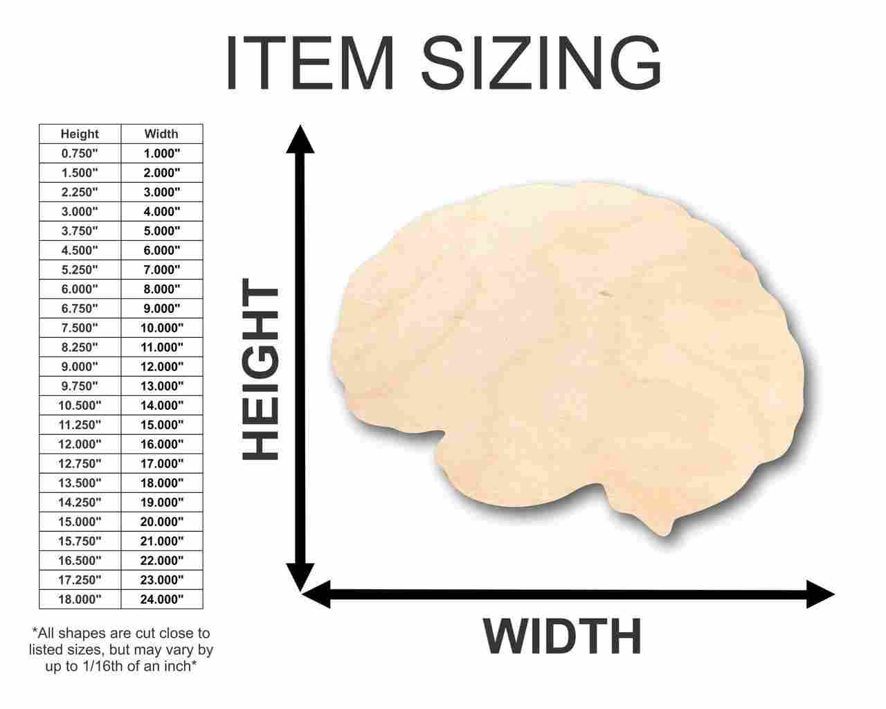 Unfinished Wood Brain Shape - Science - Craft - up to 46" DIY