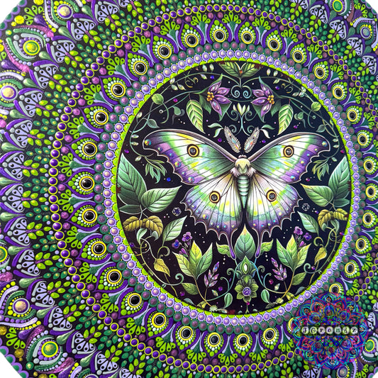 16” Moth Mandala Painting
