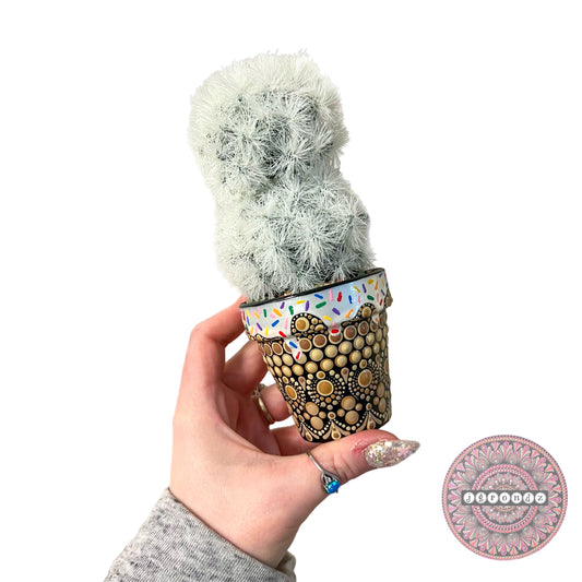 Pretty Pots - Ice Cream Cone Painted Mandala Succulent Pot