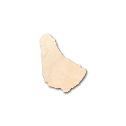 Unfinished Wood Barbados Shape - Craft - up to 46" DIY