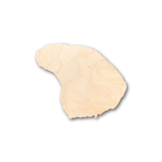 Unfinished Wood Lanai Hawaii Island Shape - Craft - up to 46" DIY