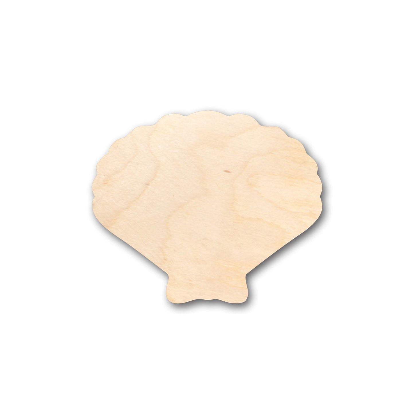 Unfinished Wood Sea Shell Clam Shape - Craft - up to 46" DIY