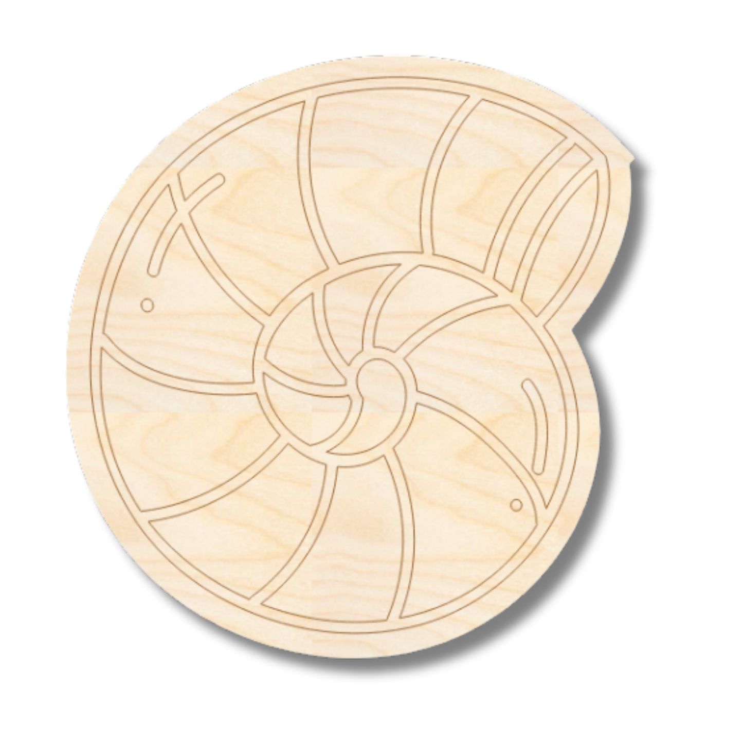 Unfinished Wood Etched Sea Shell Shape | Paint By Line Crafts | up to 30" DIY