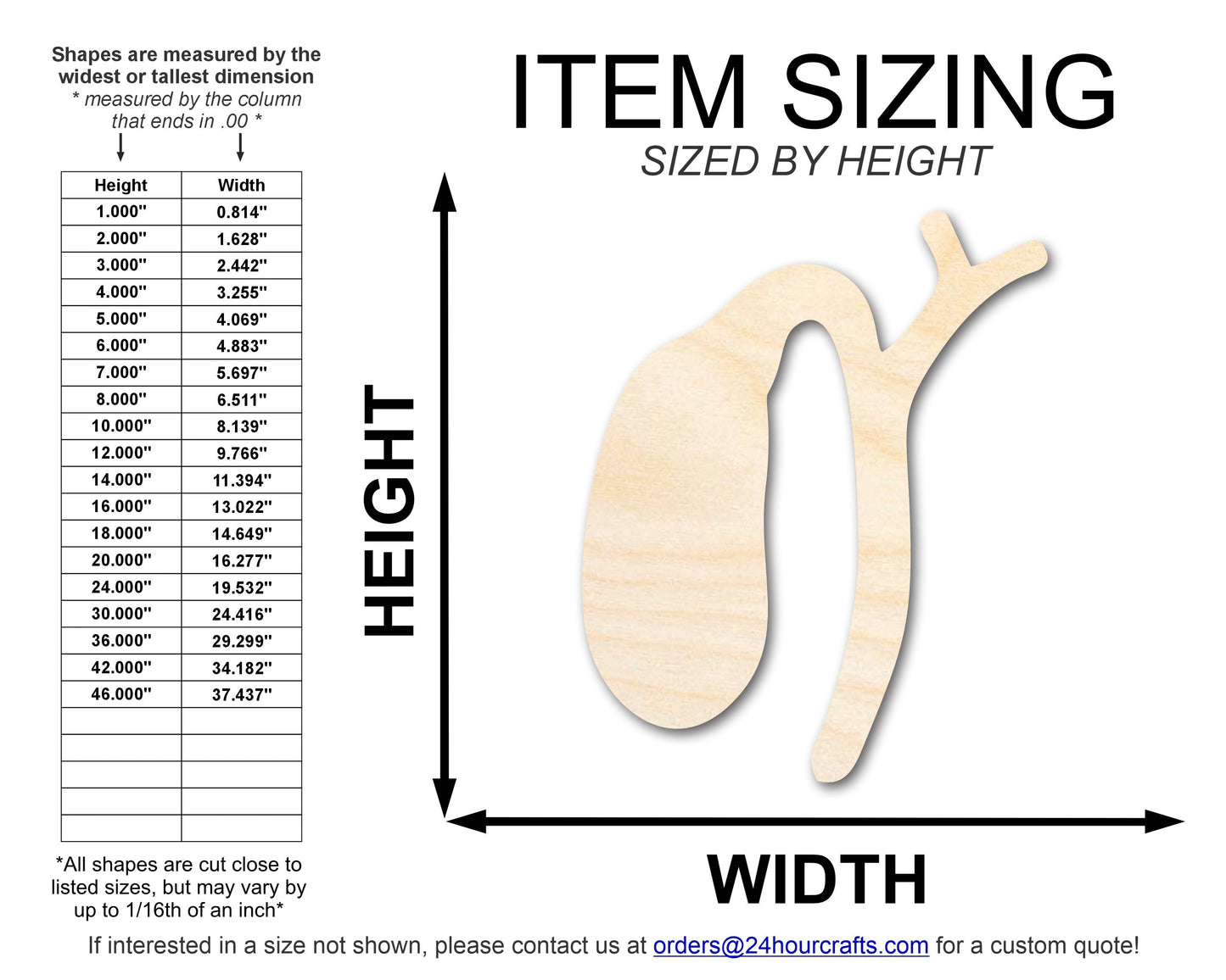 Unfinished Wood Gallbladder Shape | DIY Craft Cutout | up to 46" DIY