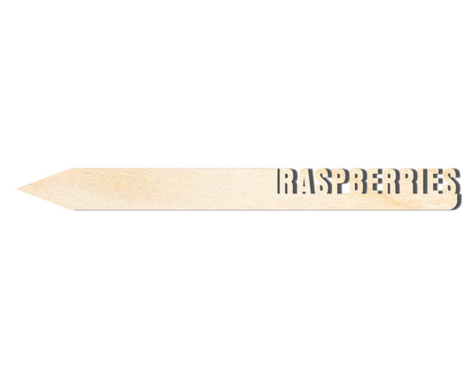 Unfinished Wood Raspberries Garden Stake | DIY Craft Cutout | up to 24" DIY