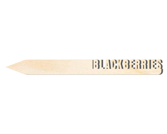 Unfinished Wood Blackberries Garden Stake | DIY Craft Cutout | up to 24" DIY