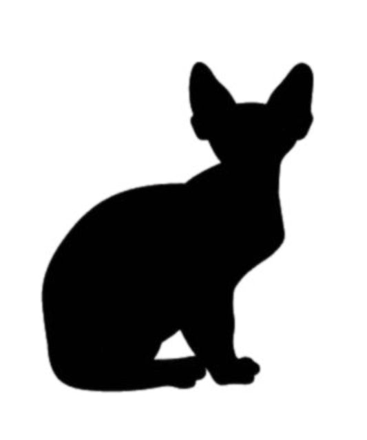 Sphynx Cat Resin & Dot Art
