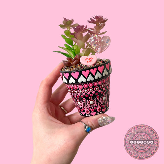 Cutie Pot - Valentines Day Painted Succulent Pot