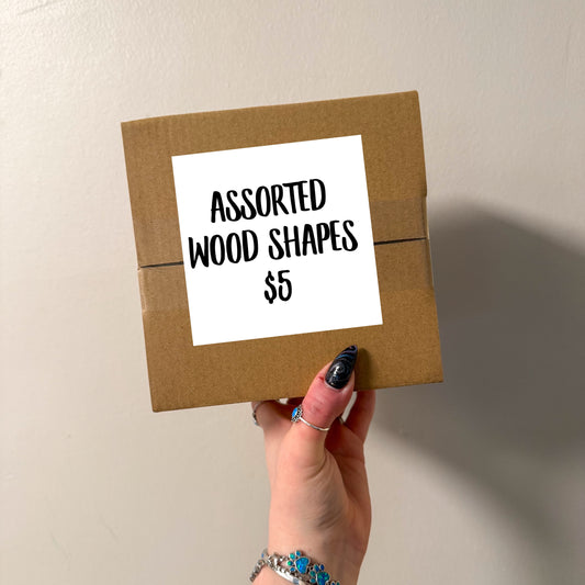 Assorted Wood Shapes Mystery Destash