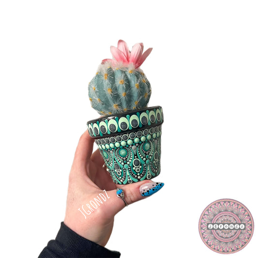 Cactus Pretty Pot
