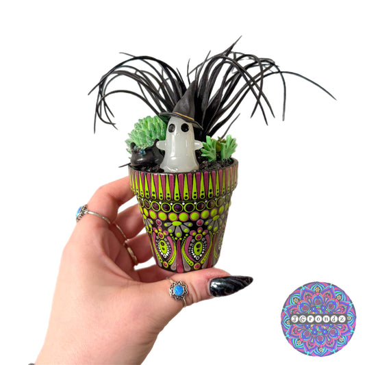 Spookulent Pot