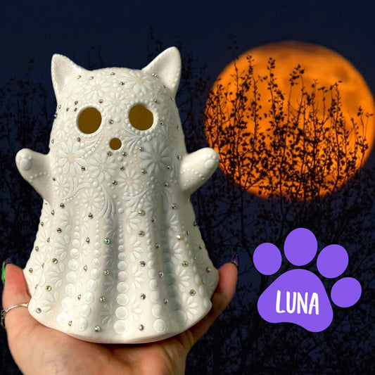 Luna the Light Up Ghost Kitty