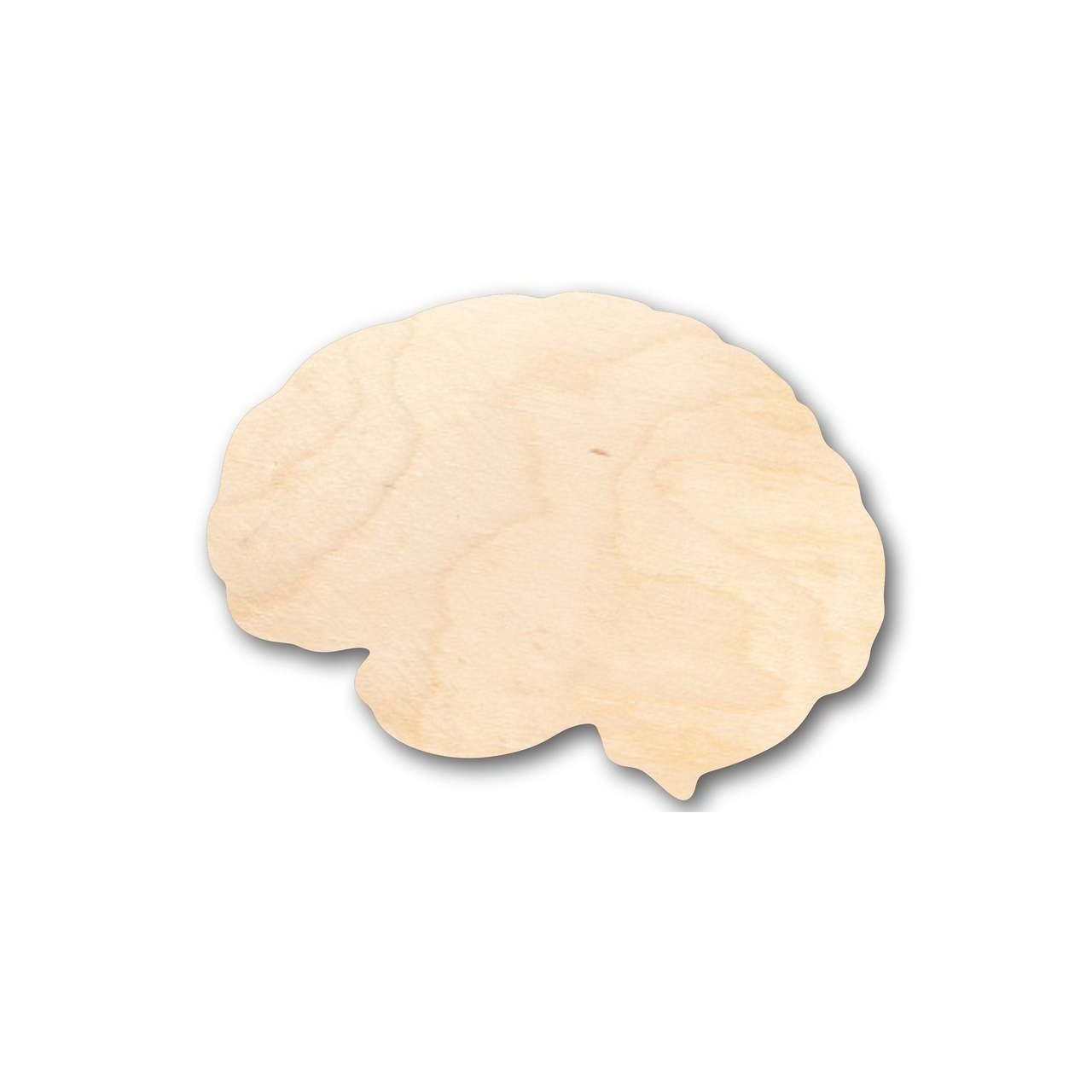 Unfinished Wood Brain Shape - Science - Craft - up to 46" DIY