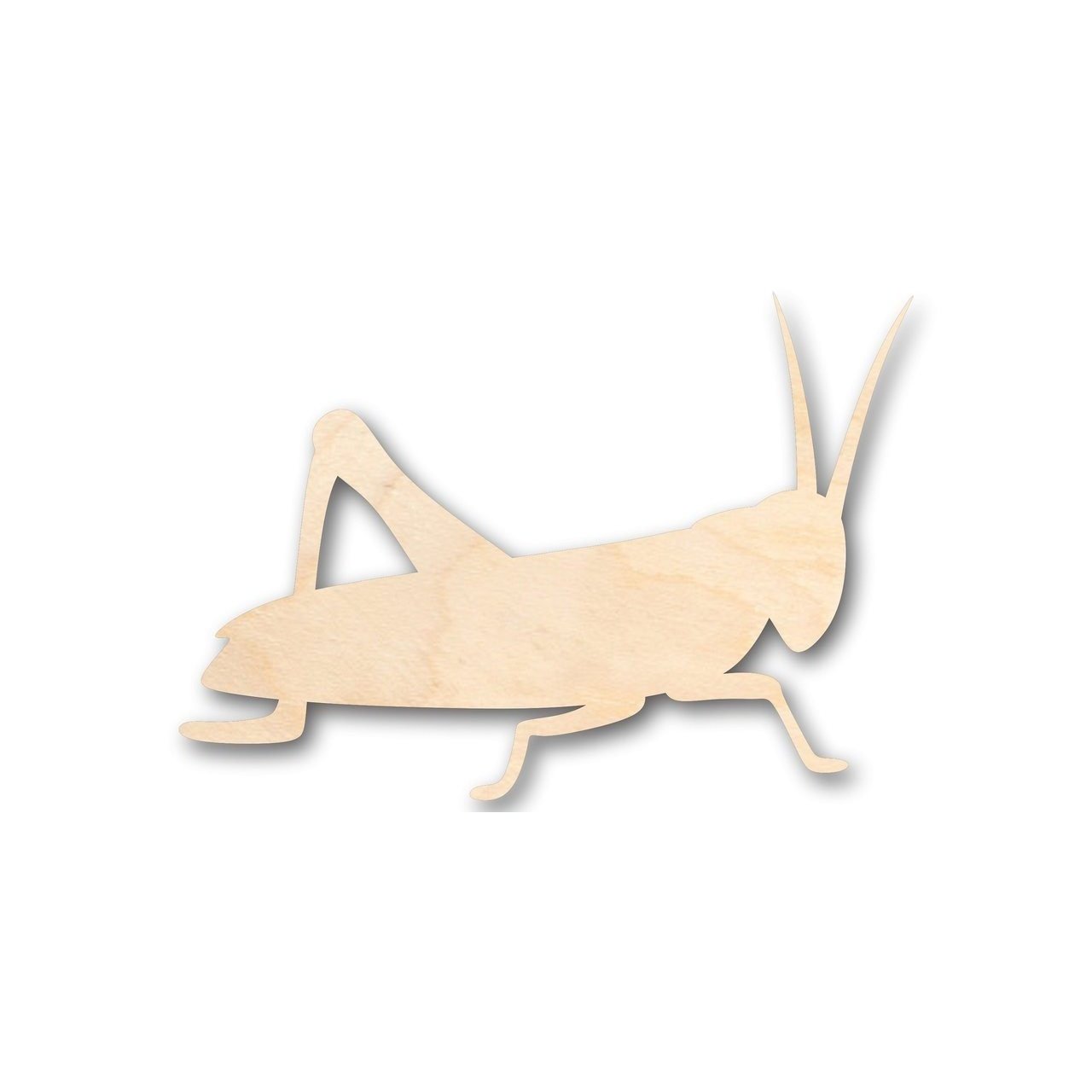 Unfinished Wood Grasshopper Shape - Insect - Wildlife - Craft - up to 46" DIY